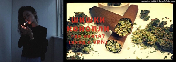 твердый Алзамай