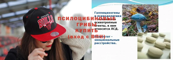 твердый Алзамай